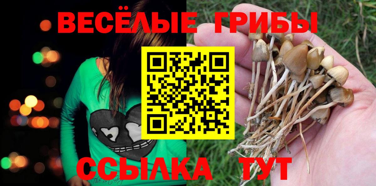 Псилоцибиновые грибы Cubensis Ливны